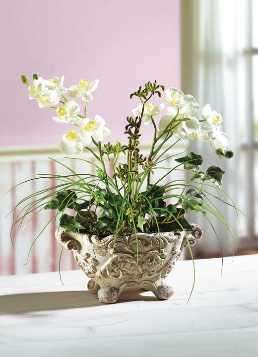 Wohnaccessoires - Orchideen-Gesteck im Tontopf, in Farbe