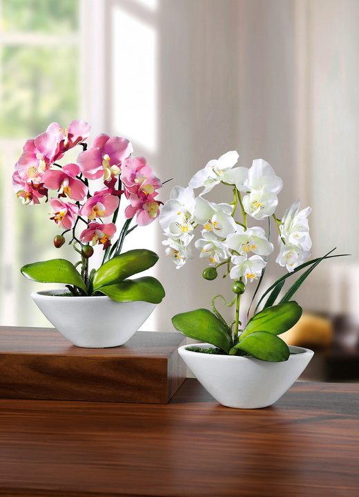 Wohnaccessoires - Orchideen in Keramikschale, 2er-Set, in Farbe