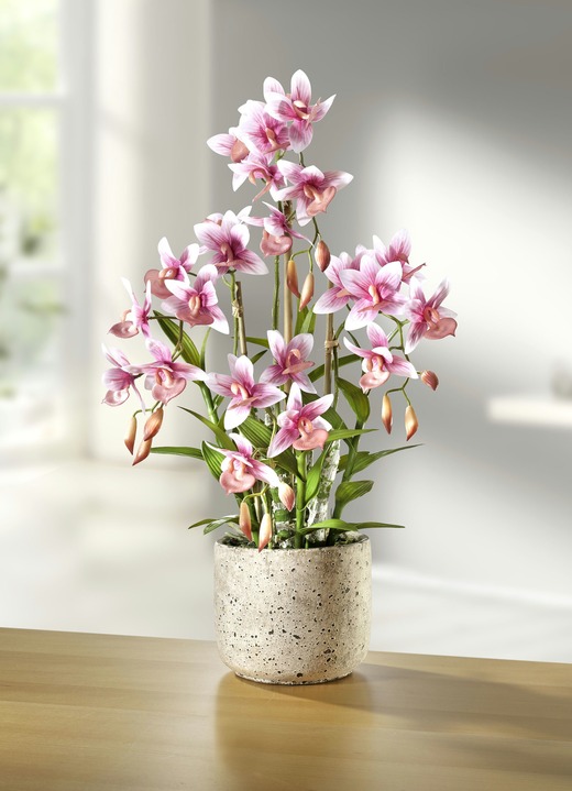 Wohnaccessoires - Orchidee im Topf, in Farbe ROSA-GRÜN