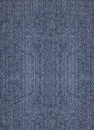 Magic-Jeans-Bermudas