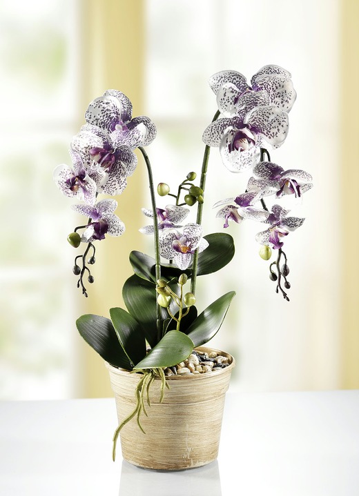 Wohnaccessoires - Orchidee im Topf, in Farbe