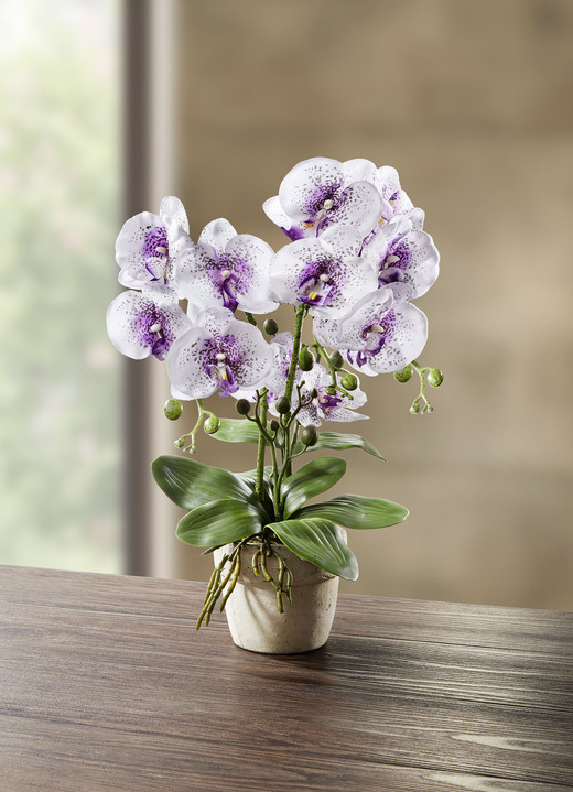 Wohnaccessoires - Orchidee im Topf, in Farbe WEISS-LILA