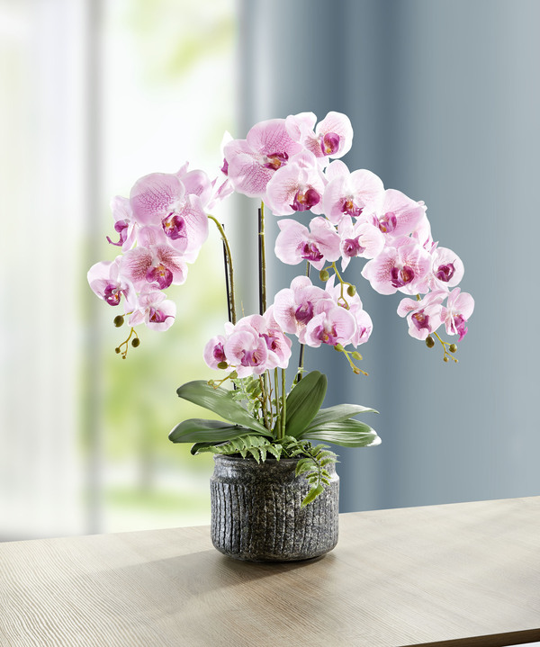 Wohnaccessoires - Orchideen-Gesteck im Topf, in Farbe ROSA, in Ausführung groß