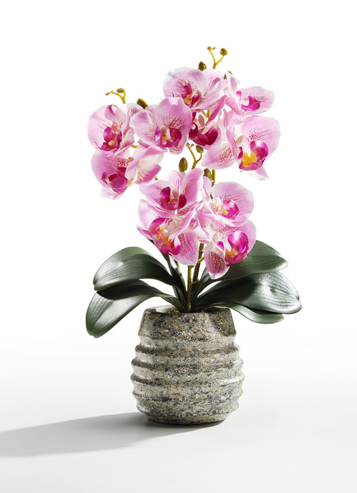 Wohnaccessoires - Orchideen-Gesteck im Topf, in Farbe ROSA, in Ausführung klein