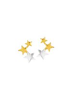 Attraktive Ohrstecker in Bicolor 