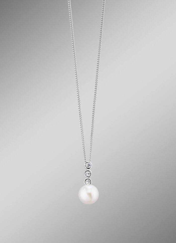 Anh&auml;nger mit Panzerkette 