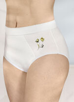 Viererpack Formslips mit verst&auml;rkter Bauchpartie 