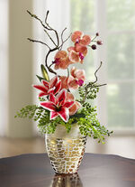 Orchideen-Gesteck im Topf 