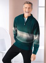 Troyer mit Stehkragen in 2 Farben 