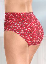 Viererpack Slips mit Blumenmotiv 