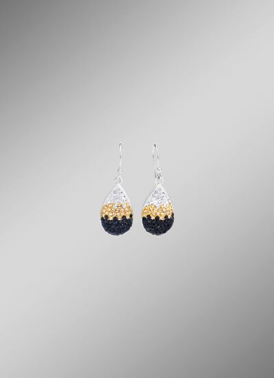 Funkelnde Ohrhaken mit Swarovski-Elements 