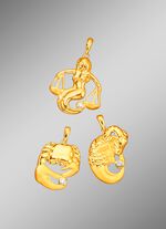 Sternzeichen-Anh&auml;nger matt/hochgl&auml;nzend 