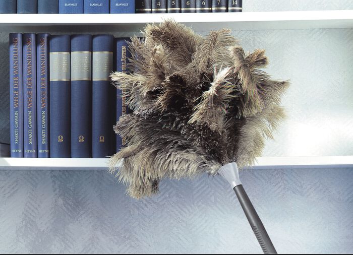 Strau&szlig;enfeder-Staubwedel 