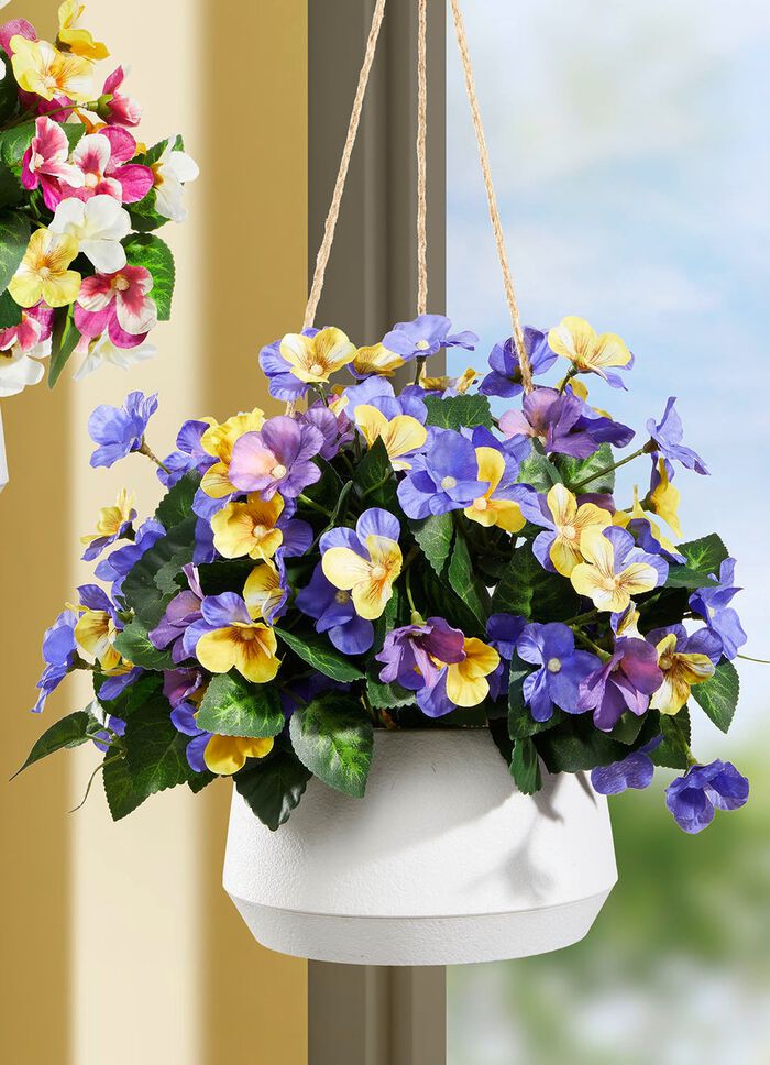 Stiefm&uuml;tterchen in H&auml;ngeampel 