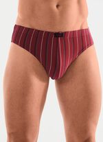 Sechserpack Slips mit Streifendessin 