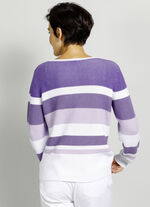 Pullover aus reiner Baumwolle 