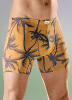 Dreierpack Pants mit Palmendruck
