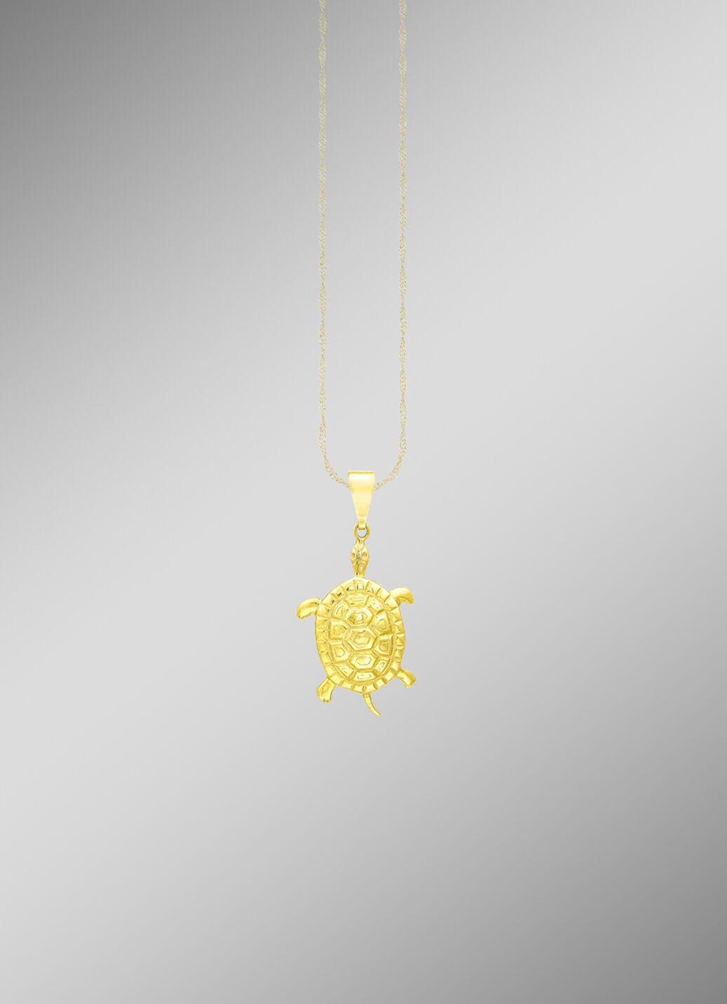 CLEVER SCHMUCK Gold-Anhänger 'Schildkröte' – 333 Gold, 15 X 7 Mm, Mit Etui