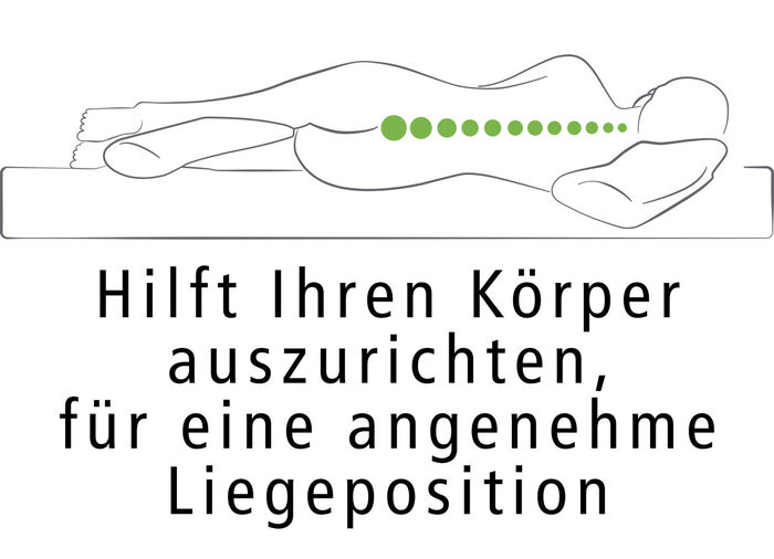 Dreamolino Swan Pillow Ganzk&ouml;rperkissen 