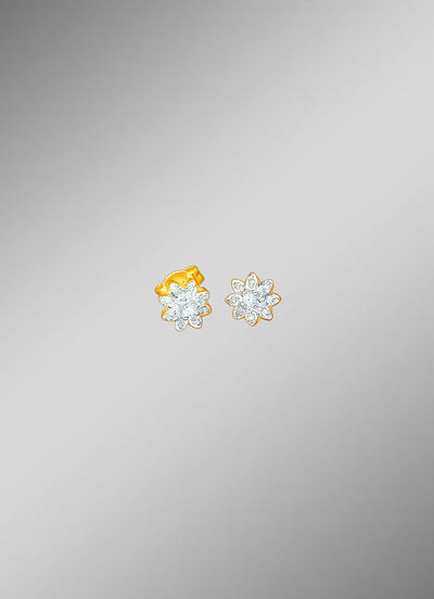 Ohrstecker mit Brillanten und Diamanten 