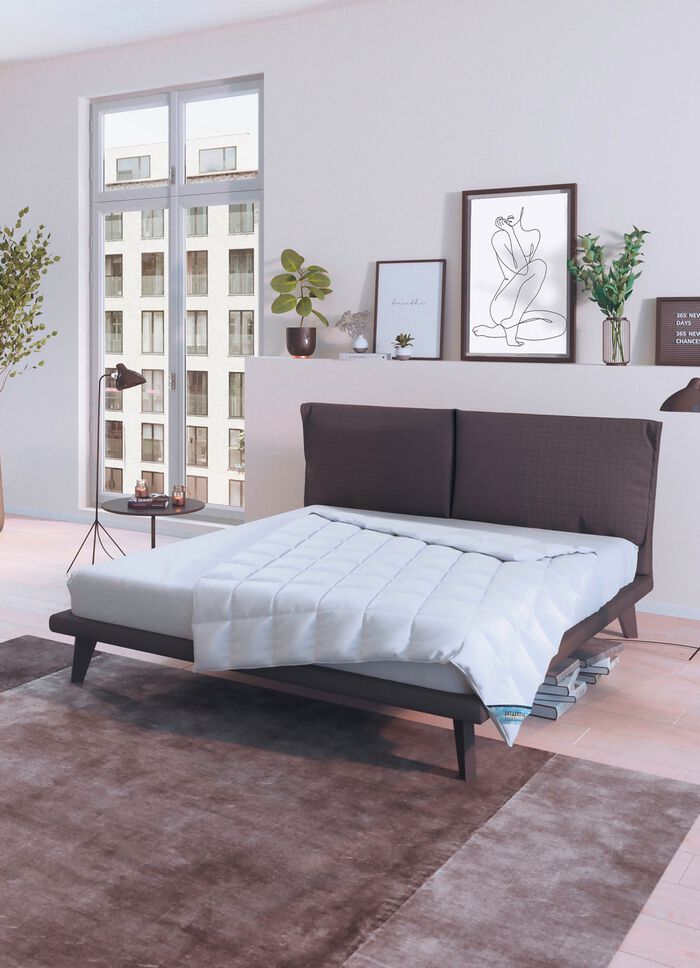 Daunenprogramm Antarktis von Spessarttraum 