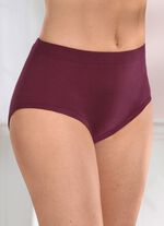 F&uuml;nferpack Slips mit Gummizug im Bund 