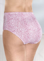 Viererpack Slips mit Raubtierdessin 