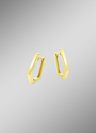 Gl&auml;nzende Klappcreolen 