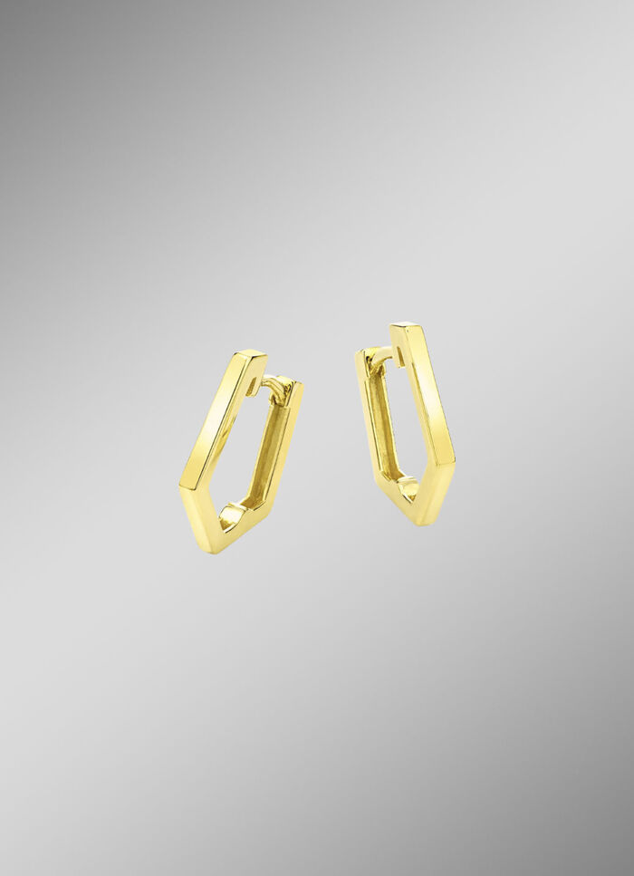 Gl&auml;nzende Klappcreolen 