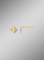 Tolle Ohrstecker mit Diamanten 