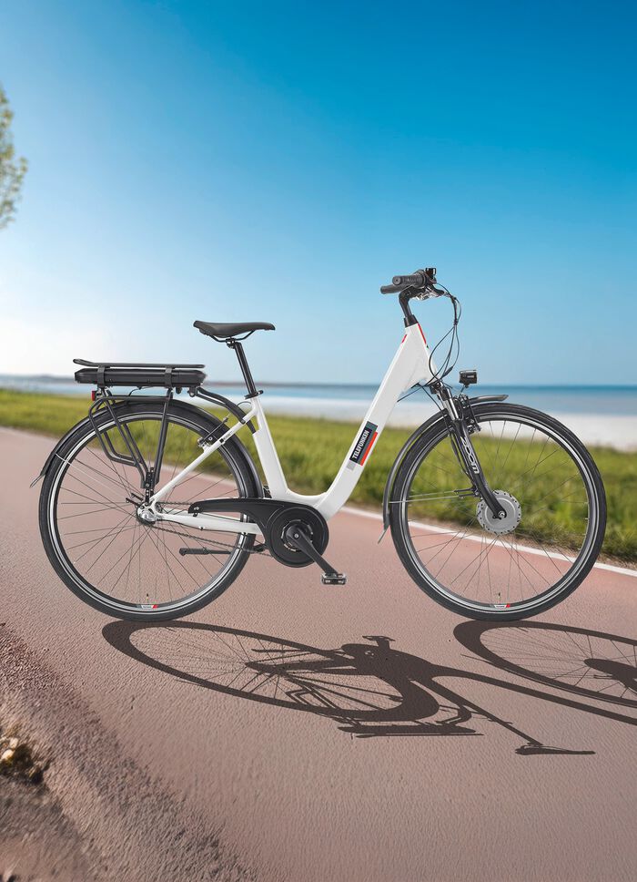 City-E-Bike RC836 von TELEFUNKEN 