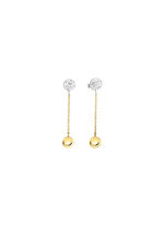 Wundersch&ouml;ne Ohrstecker in Bicolor 