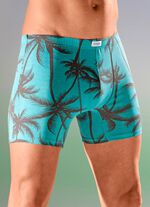 Dreierpack Pants mit Palmendruck 