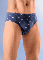 Viererpack Slips mit Alloverdruck 