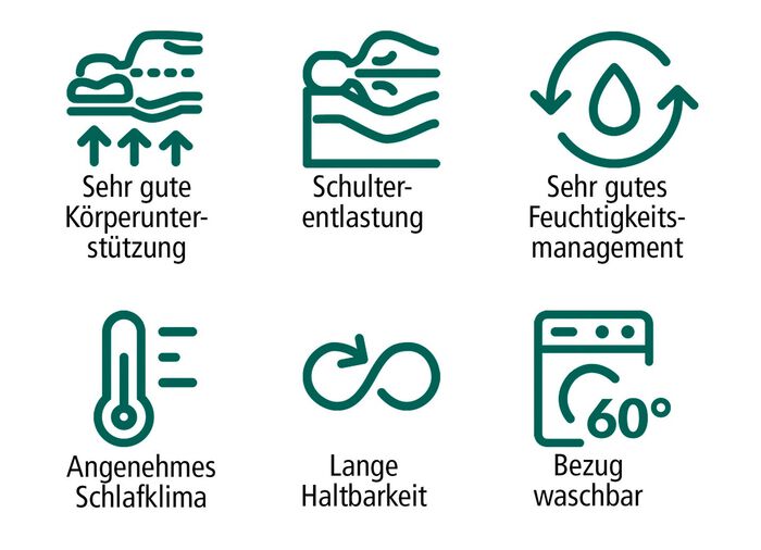 TESTSIEGER Mehrzonen-Matratze &bdquo;max foam by fan&ldquo; 