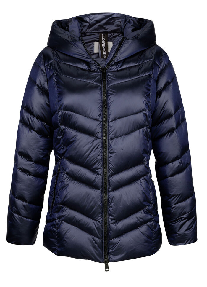 Steppjacke mit fester Kapuze 